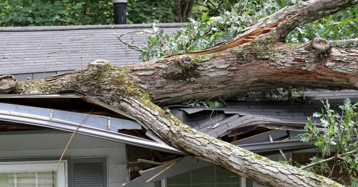A large tree trunk lies across a house roof, causing damage to the shingles, gutters, and the roof structure.