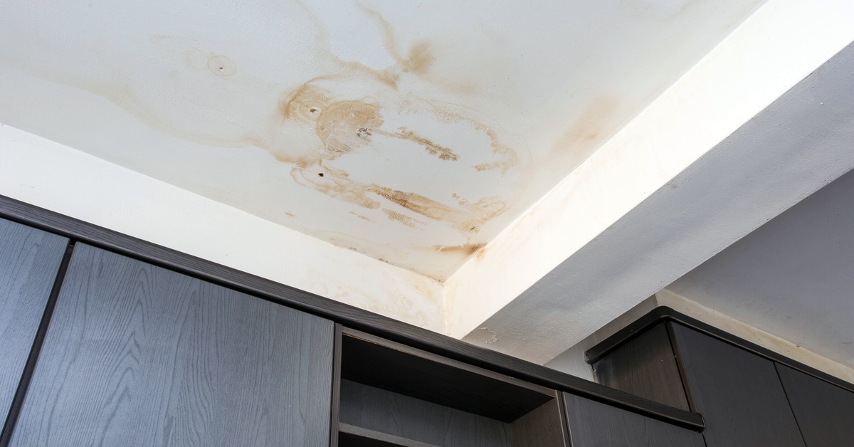 A white ceiling with large brown water stains and mold above dark brown kitchen cabinets. The stains indicate water damage.